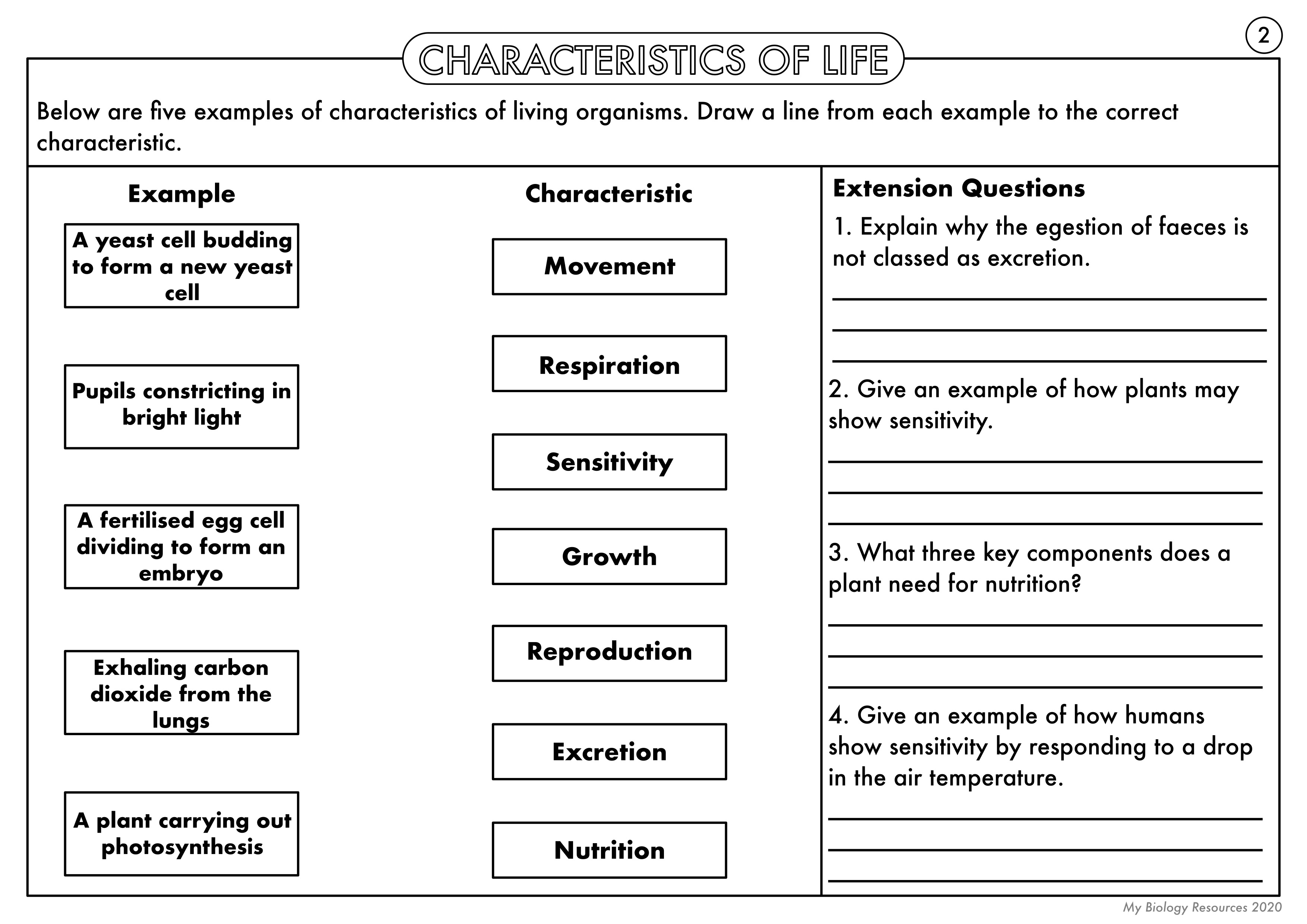 10 Characteristics Of Life Worksheet Answers