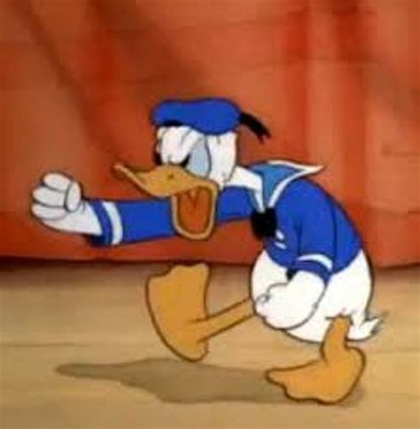 10 Facts About Donald Duck Fact File