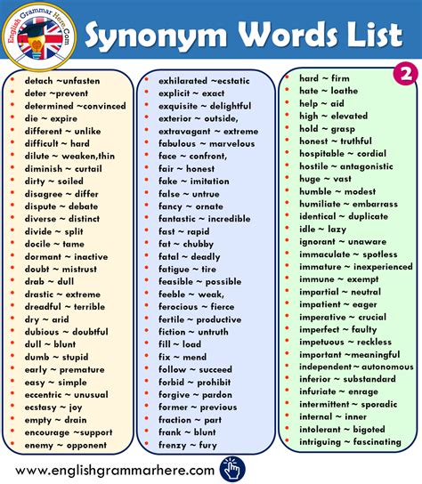 100 Examples Of Synonyms And Antonyms Vocabulary English Grammar Here