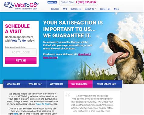 100 Veterinarian Website Designs For Inspiration