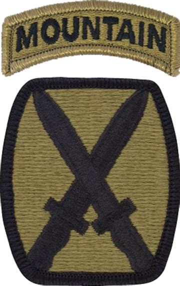 10Th Mountain Division Vtssm