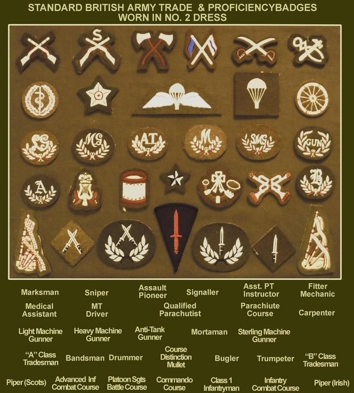 16 Best Military Images On Pinterest Military Uniforms Army Ranks And British Army