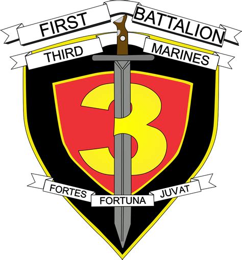 1st Battalion 3rd Marines: Elite Warriors of the Pacific