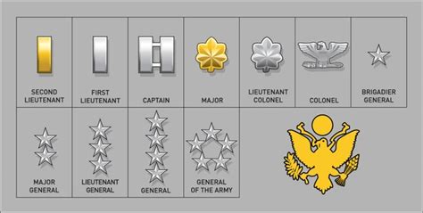 202 Army Rank Insignia Private Stock Vectors And Vector Art Shutterstock