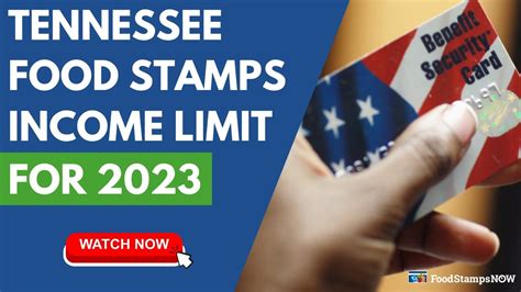 2023 Income Limit For Tennessee Food Stamps Food Stamps Now