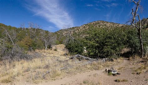 2024 Kelly Springs Maintenance Nwtf Huachuca Gould S Chapter Sierra Vista Arizona