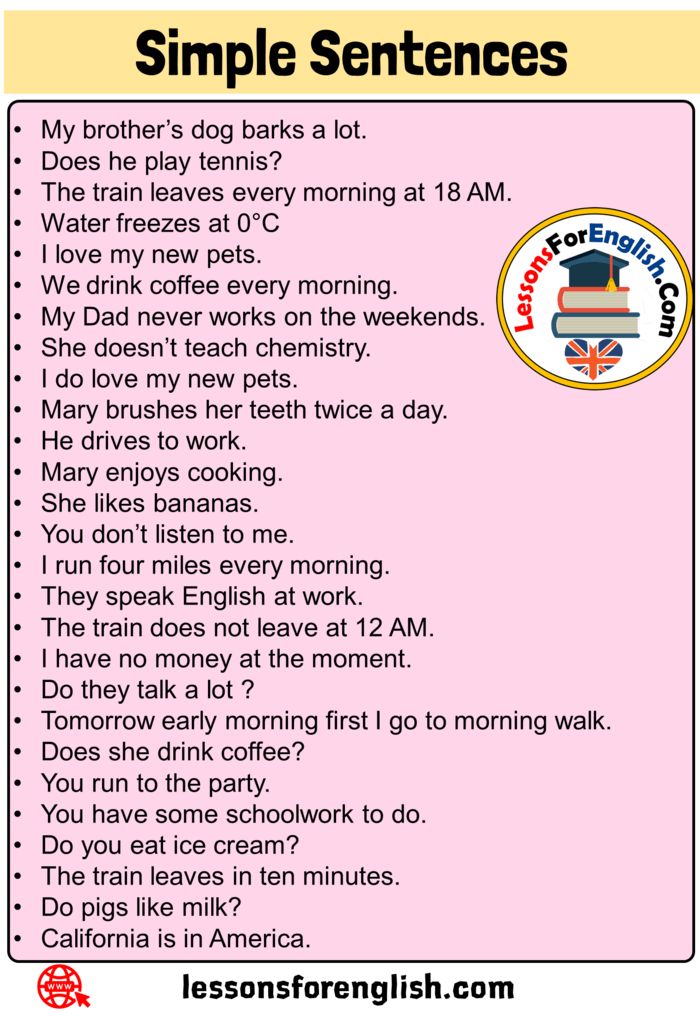 27 Simple Sentences Examples In English My Brother S Dog Barks A Lot Does He Play Tennis The