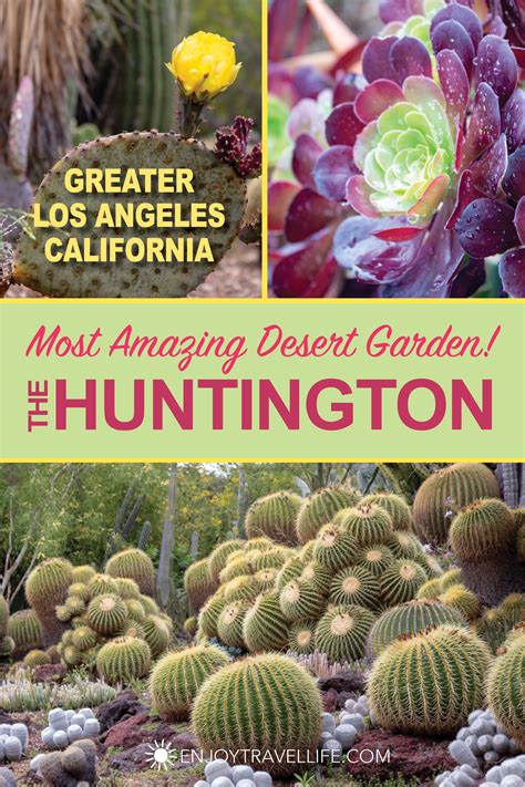 3 Spectacular Botanical Gardens I Love At The Huntington Museum Enjoy Travel Life