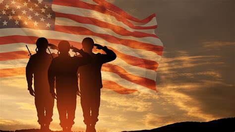 35 Facts About Veterans Day Ohmyfacts