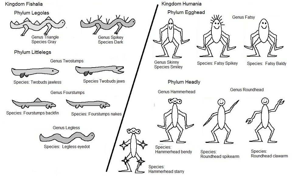 35 Taxonomy Worksheet Biology Answers Support Worksheet