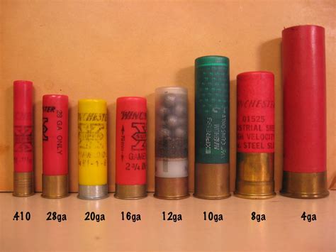 4 Essential Facts About 4 Gauge Shotgun Shells