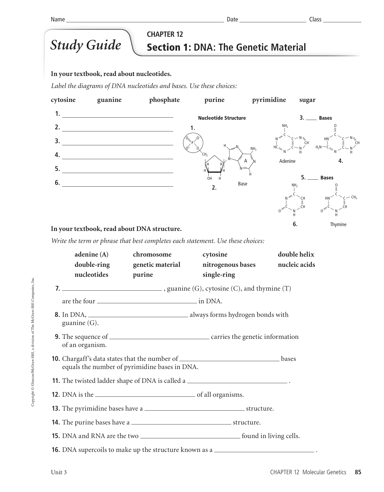 41 Chapter 12 Section 1 Dna The Genetic Material Worksheet Answers