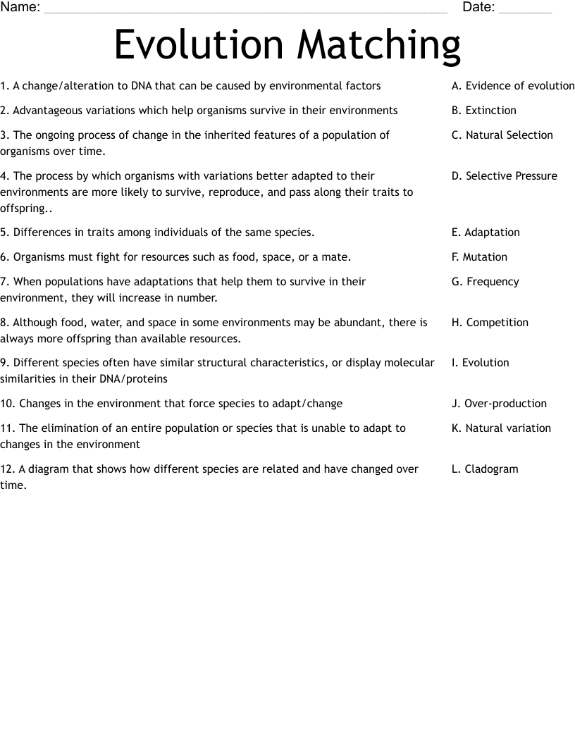 42 Evidence Of Evolution Worksheet Answer Key Worksheet Resource