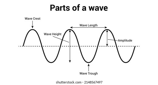 42 Label Parts Of A Wave Worksheet