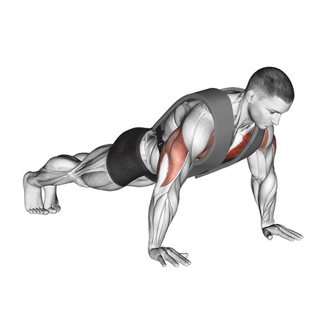 5 Benefits Of Weighted Push Ups How To Muscles Worked