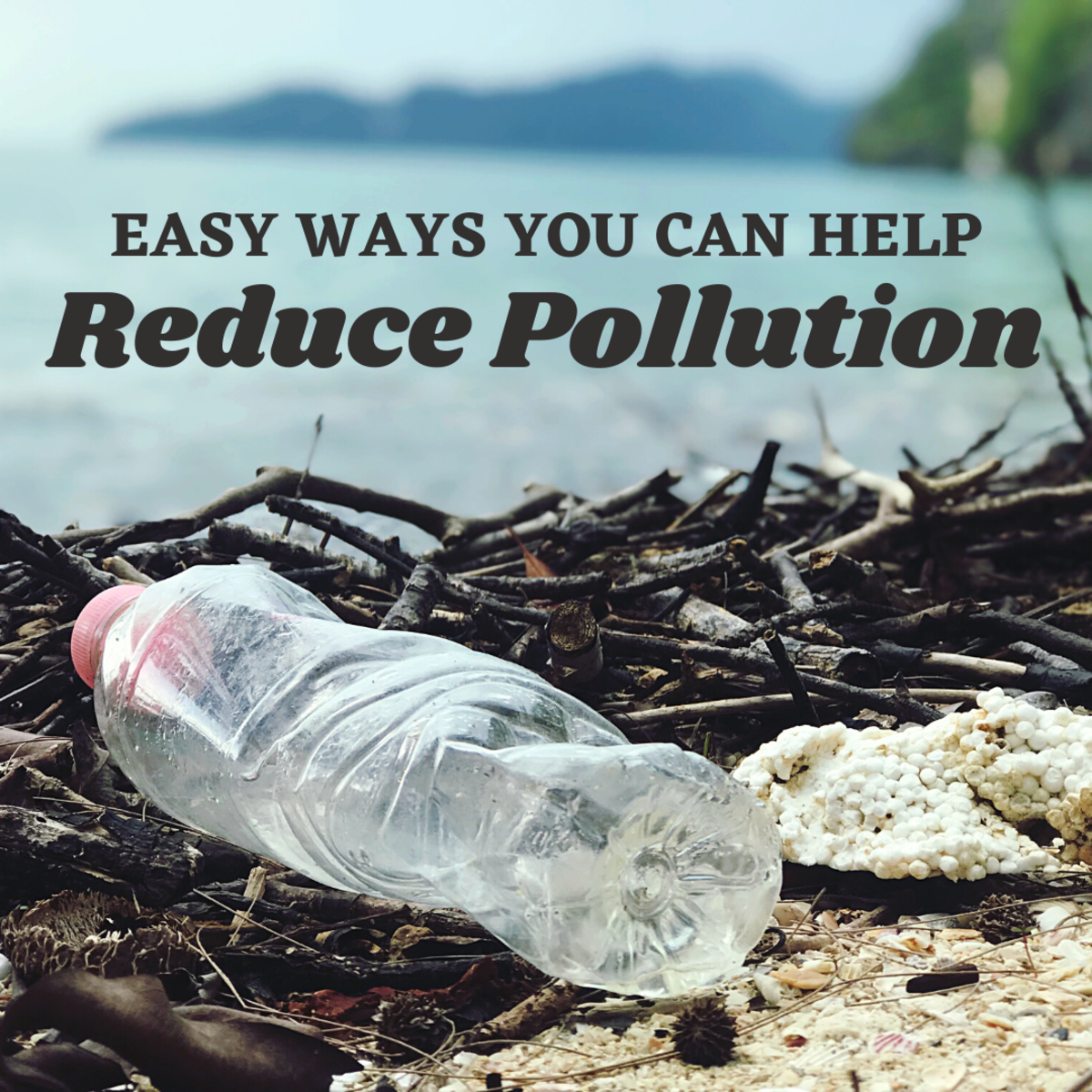 5 Easy Ways You Can Help Reduce Pollution Dengarden