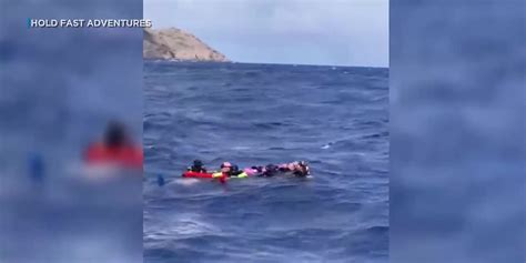 5 Scuba Divers Rescued In Hawaii Youtube