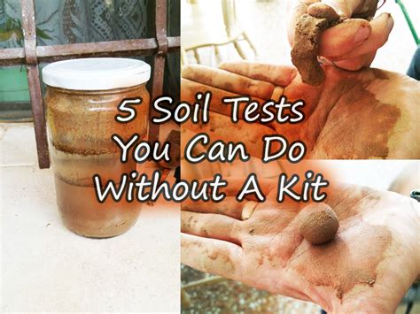 5 Ways To Test Your Garden Soil Fast Blog Family Homestead