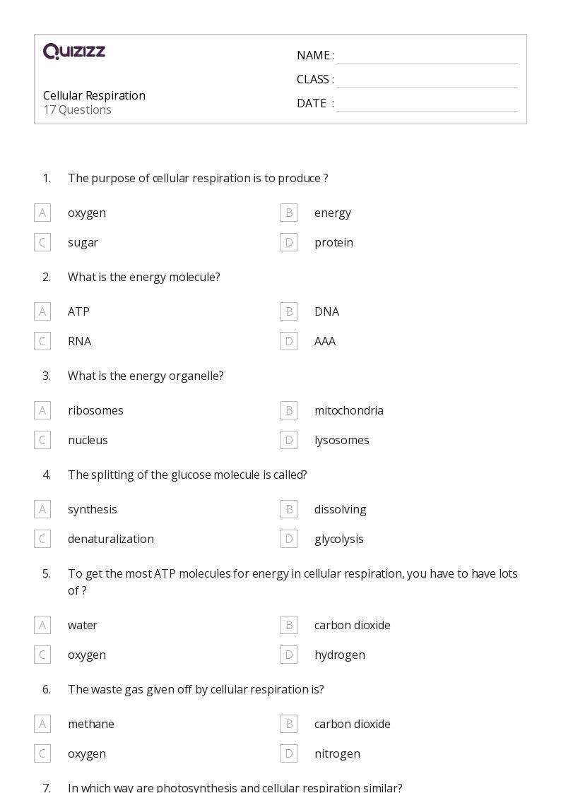 50 Cellular Respiration Worksheets For 9Th Grade On Quizizz Free