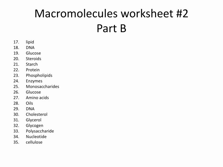 50 Macromolecules Worksheet 2 Answers