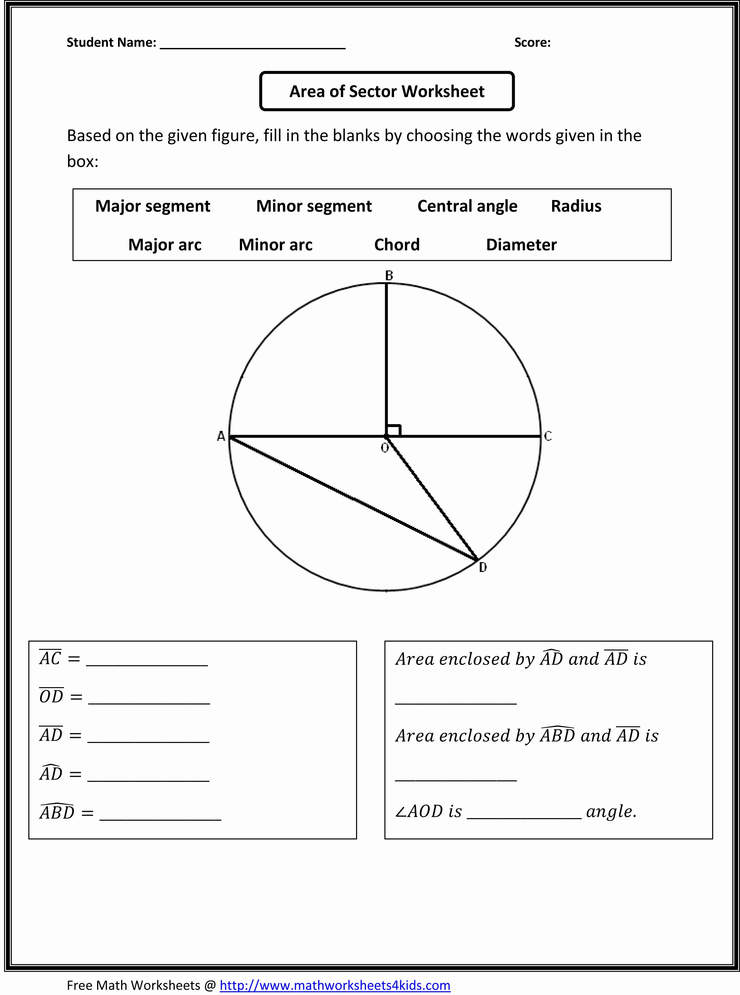 50 Parts Of A Circle Worksheet