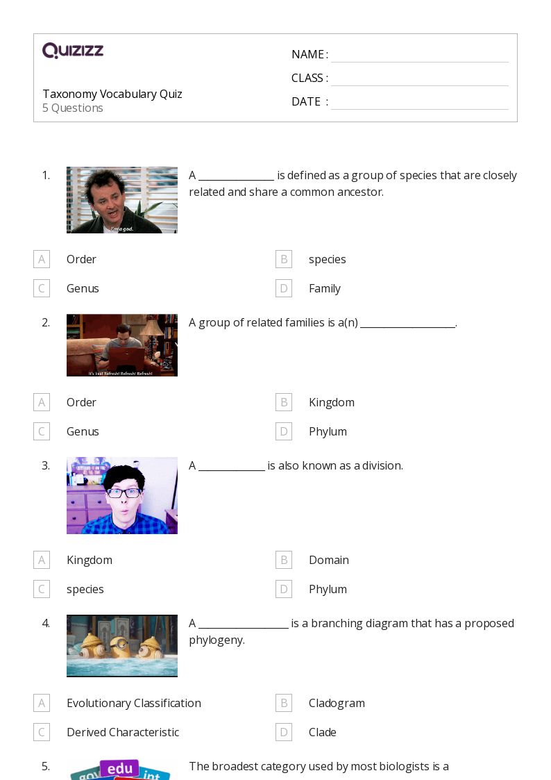 50 Phylogeny Worksheets For 10Th Grade On Quizizz Free Amp Printable