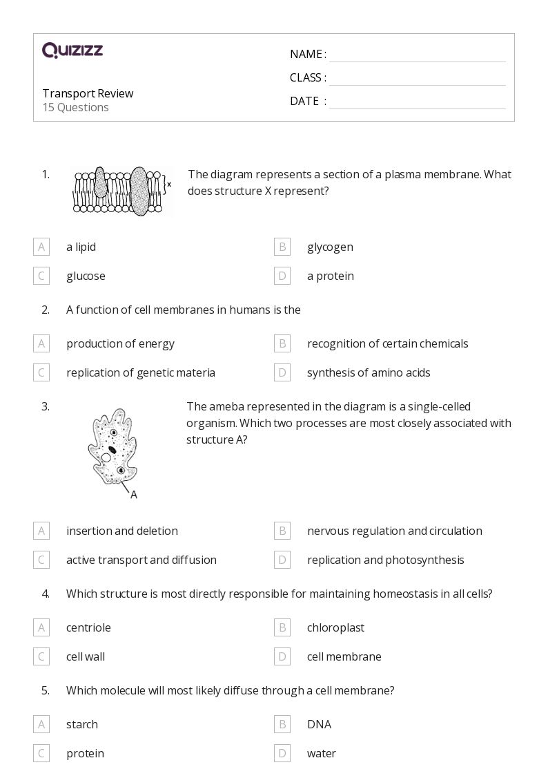 50 Plant Cell Diagram Worksheets For 9Th Grade On Quizizz Free