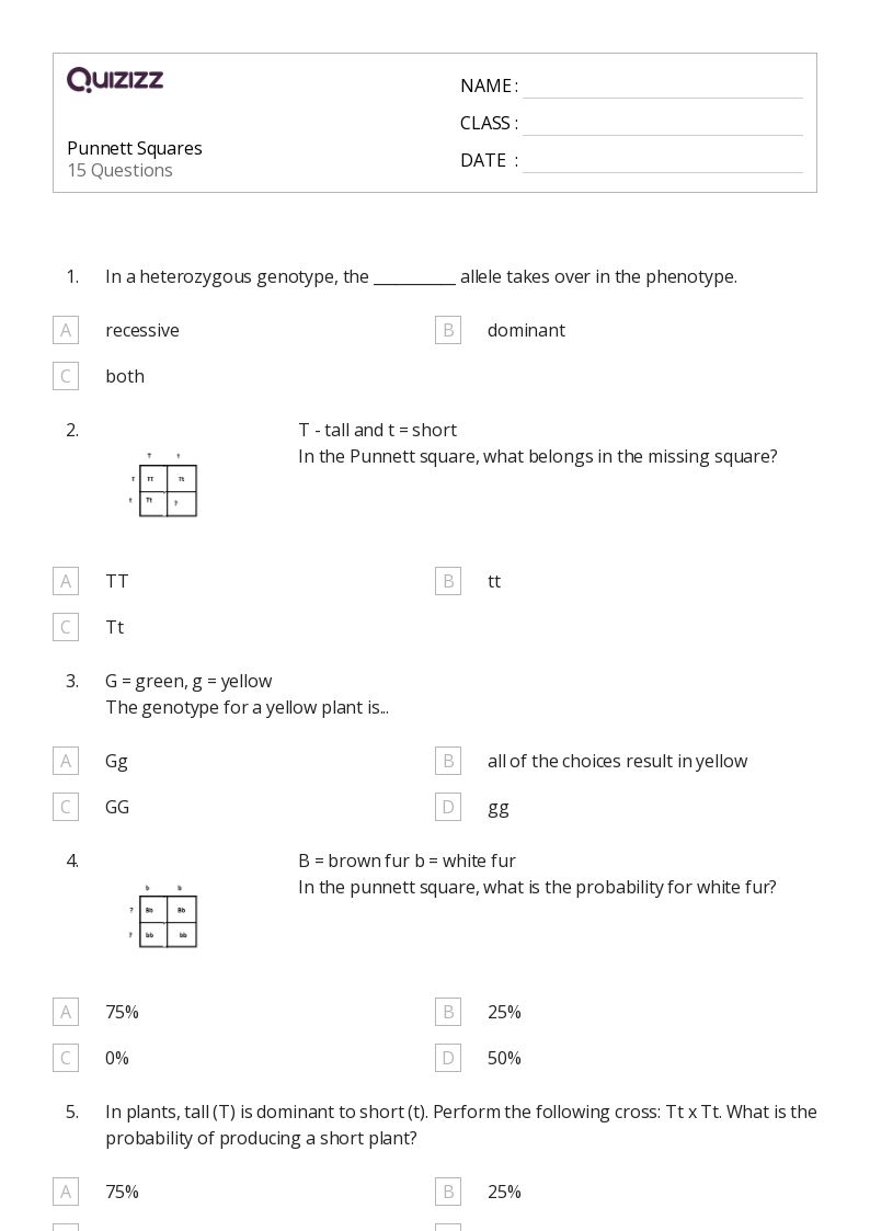 50 Punnett Squares Worksheets For 11Th Year On Quizizz Free Printable