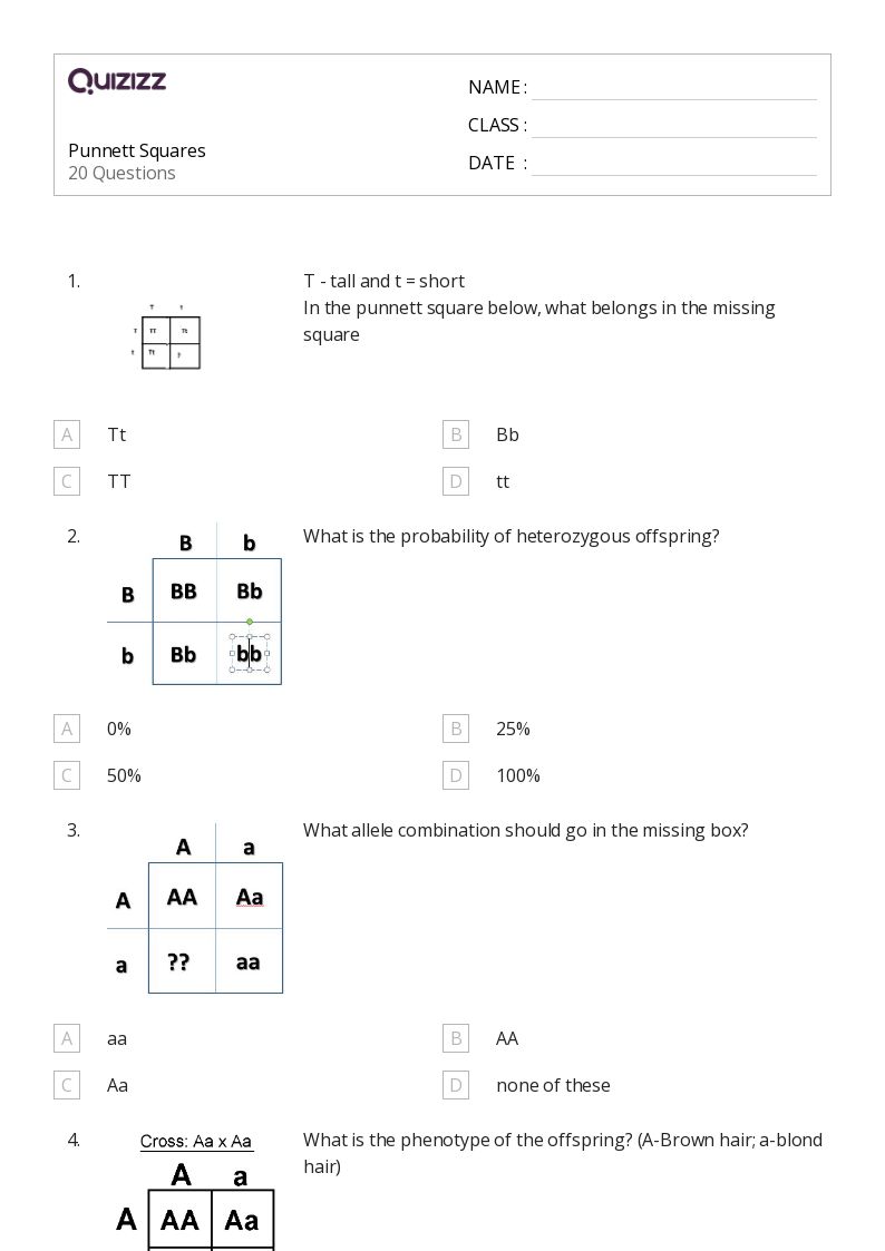 50 Punnett Squares Worksheets For 12Th Year On Quizizz Free Printable