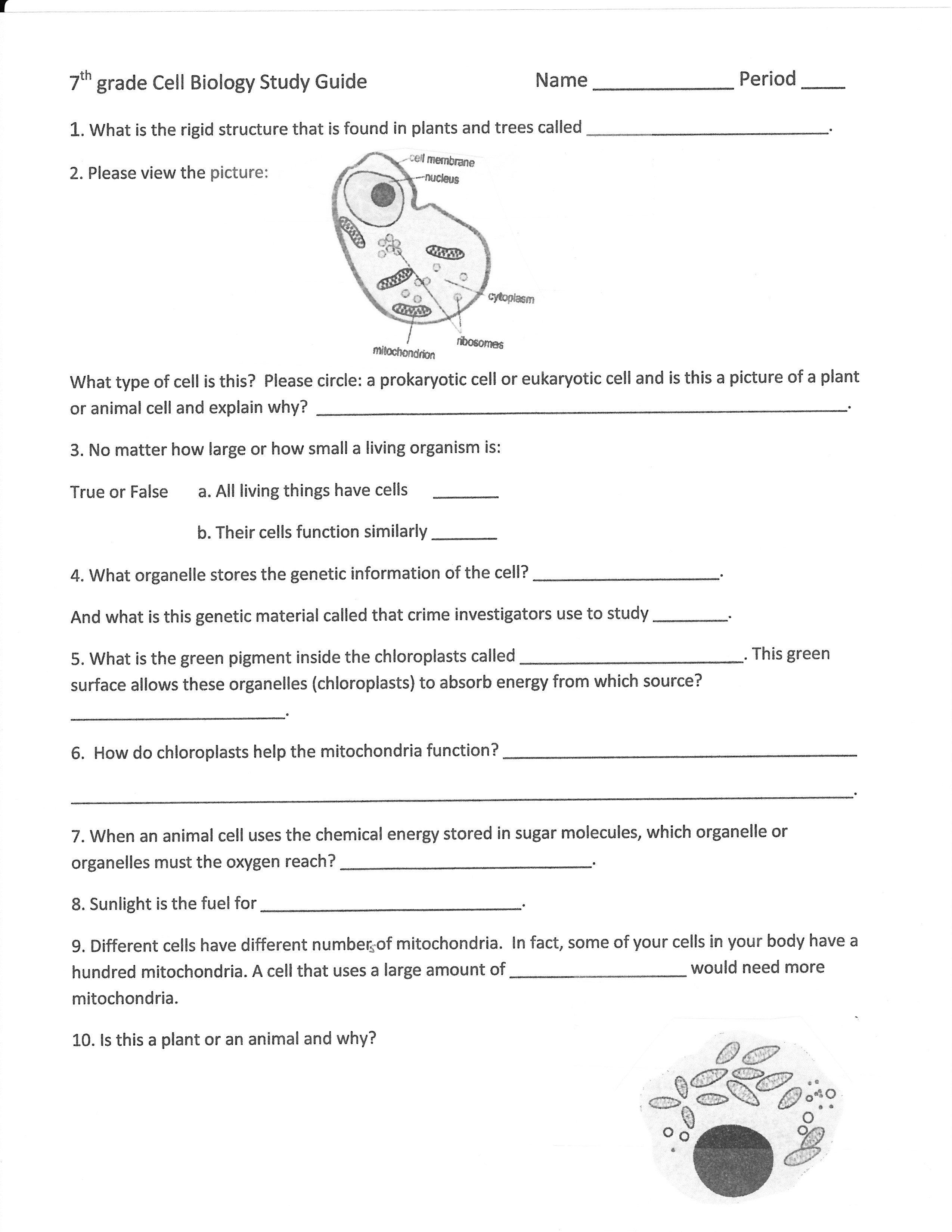 50 Science Worksheets For 9Th Grade On Quizizz Free Amp Printable