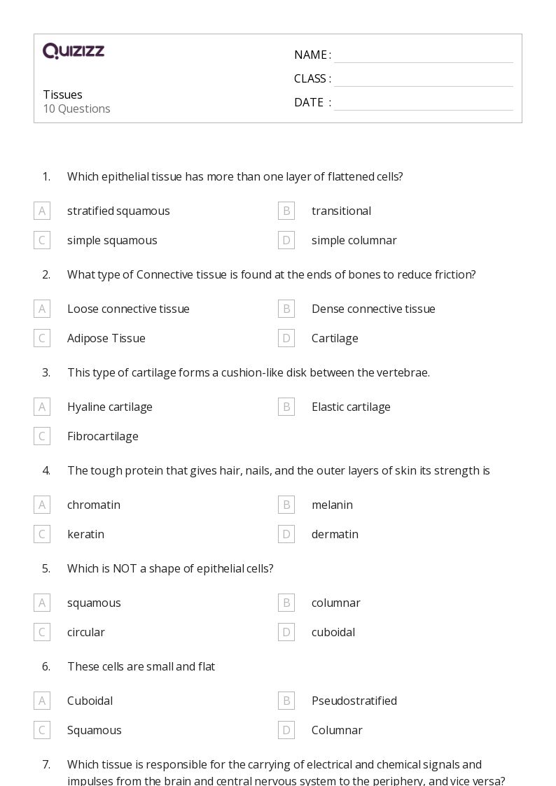 50 Tissues Worksheets For 11Th Year On Quizizz Free Amp Printable