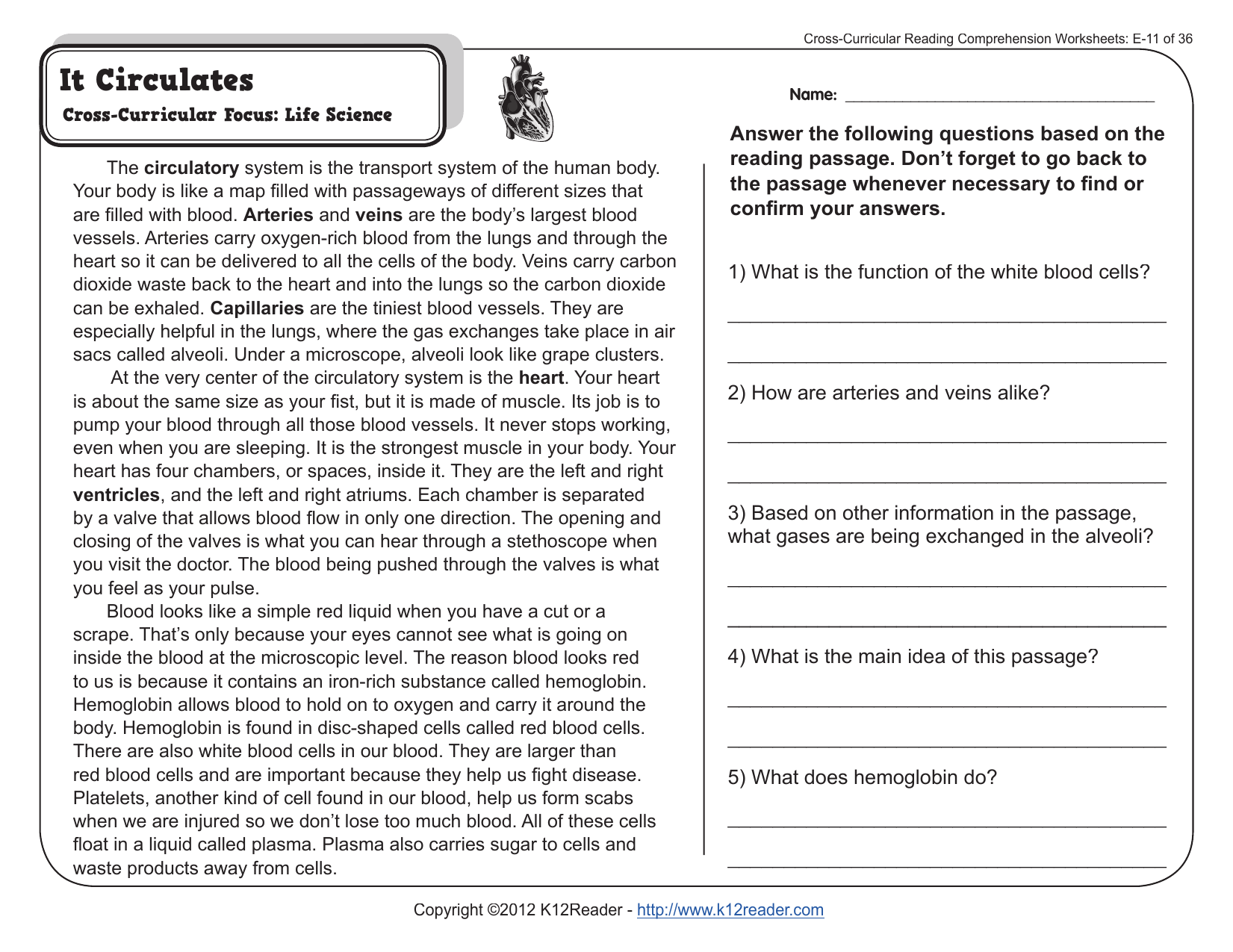 5Th Grade Reading Comprehension Worksheets With Answer Key Reading Comprehension Worksheets