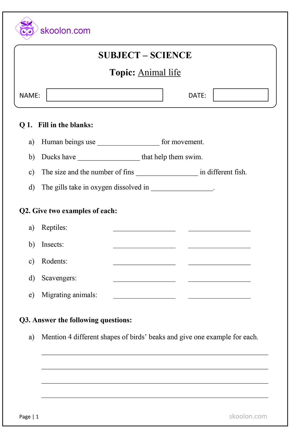 5Th Grade Science Worksheet Scienceworksheets Net