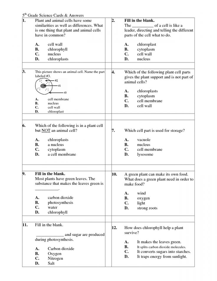 5Th Grade Science Worksheets Word Lists And Activities Page 8 Of 9