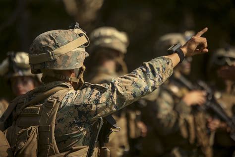 6 Fun Facts About The Us Marine Corps Star Spangled Flags