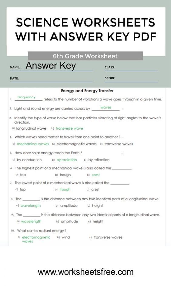 6Th Grade Science Worksheets And Activities Usa Worksheets Library