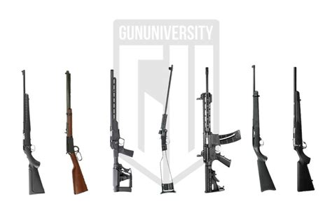 7 Best 22Lr Rifles For Plinkers Hunters And Survivalists In 2025