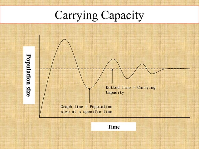 7 Environmental Carrying Capacity