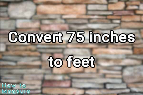 75 In To Ft How To Convert 75 Inches To Feet