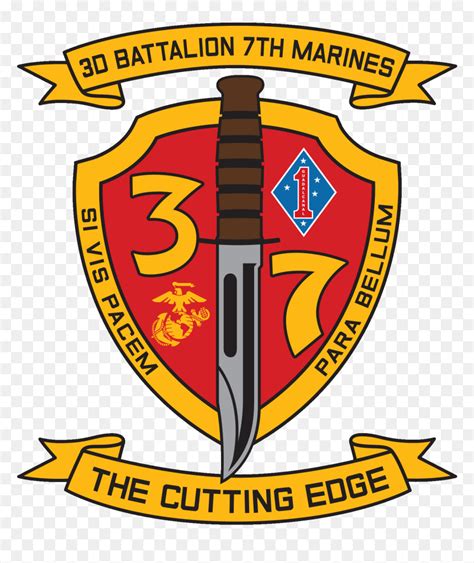 5 Facts About 7th Marines 3rd Battalion