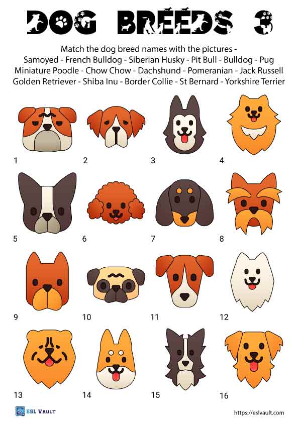 9 Dog Breeds Worksheet