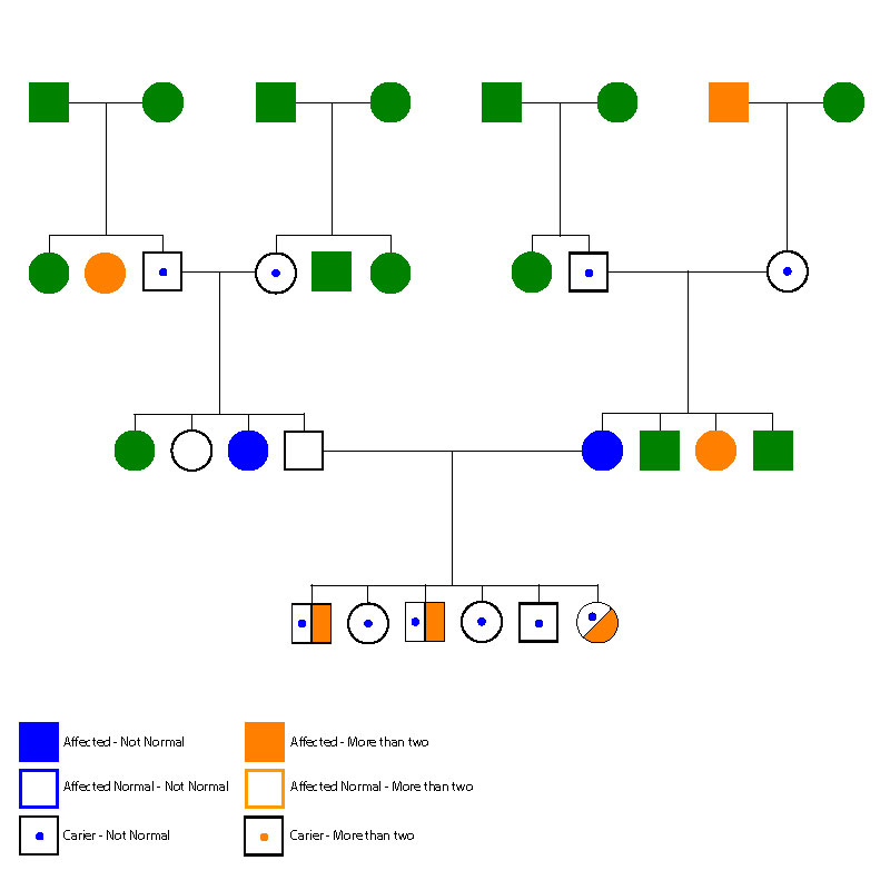 A Beginner S Guide For Pedigree Chart Edrawmax