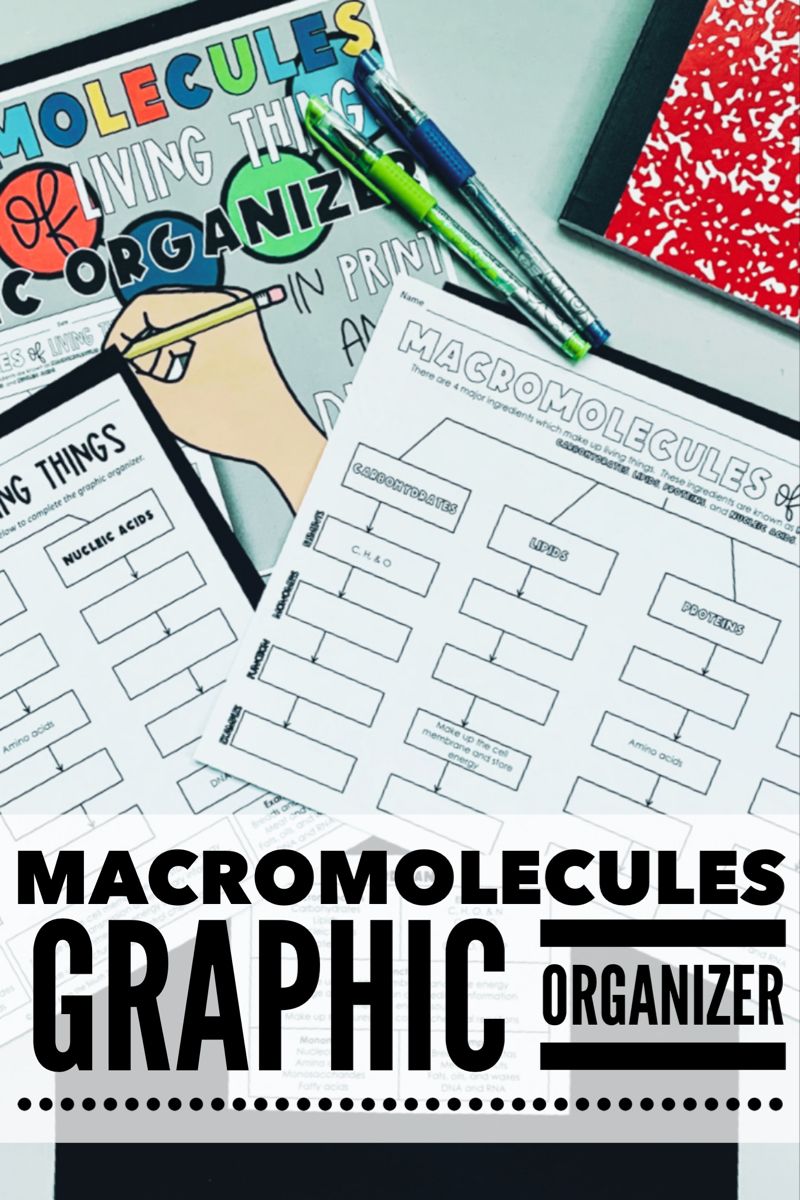 A Graphic Organizer To Help Your Students Organize The Elements Monomers Decriptions And