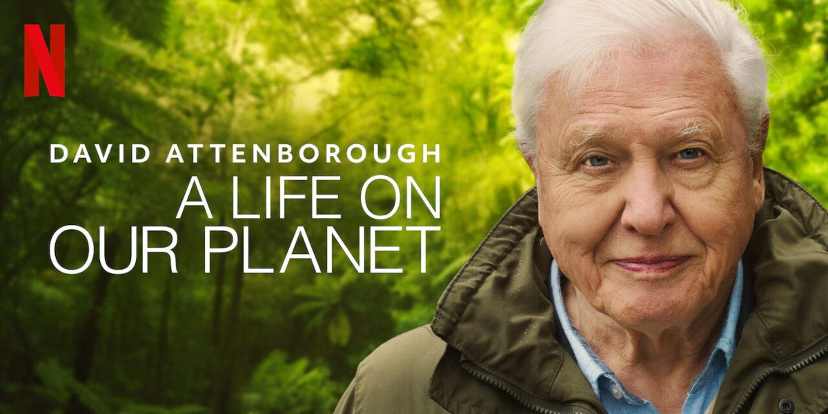 A Life On Our Planet David Attenborough Worksheet Tpt