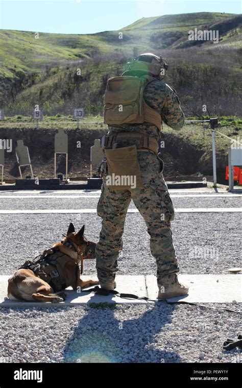 A U S Marine Multipurpose Canine Handler With The United States