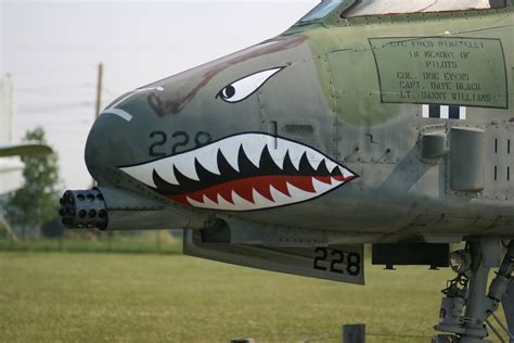 A-10 Warthog Nose Art: Unique Designs of the 70s-90s