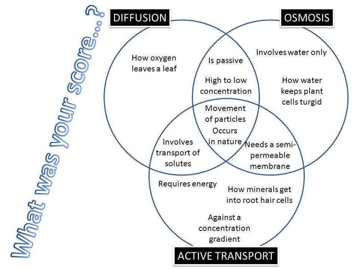 Active Transport Vs Diffusion Osmosis