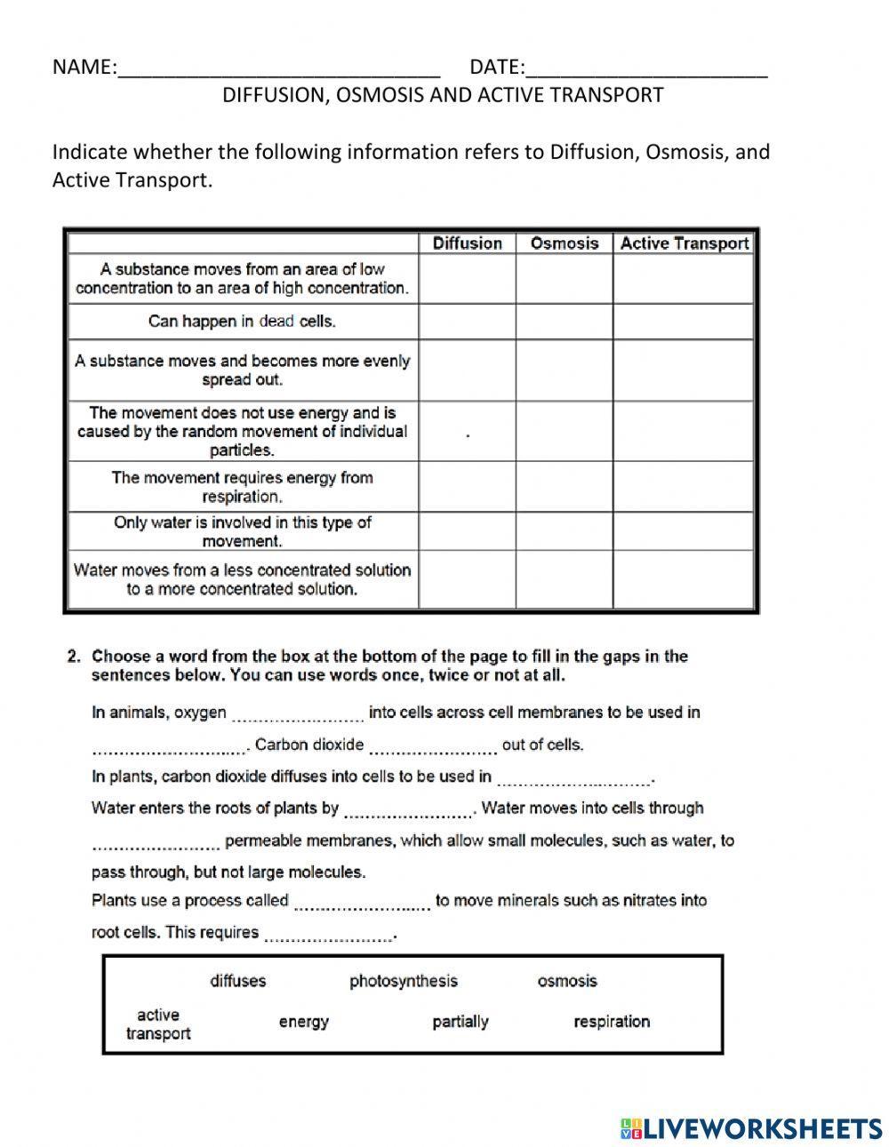 Active Transport Worksheet Answers Pdf