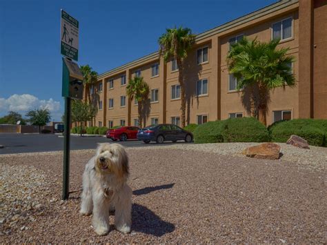 Affordable Pet Friendly Hotels In Sunrise Manor Las Vegas Holiday Inn Express Las Vegas Nellis