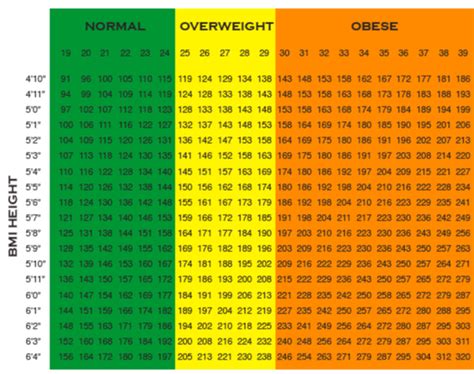 Air Force Weight Standards: Meet the Body Fat Requirements